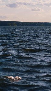 Dark blue water background with waves. Sea water moving on the background of green nature. Beautiful sea water view. Vertical