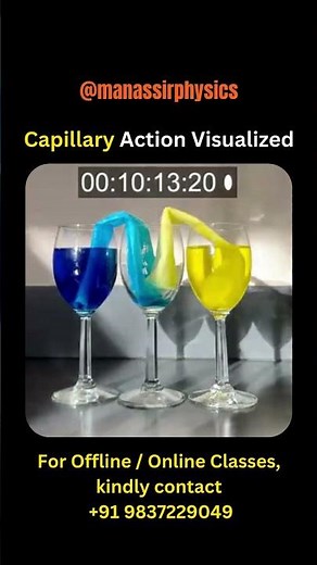 How liquids rise on their own: Capillary Action Explained. #Physics #Science #PhysicsExperiment