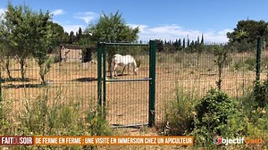 10K views · 57 reactions |  FAIT DU SOIR VIDEO De Ferme en Ferme :...