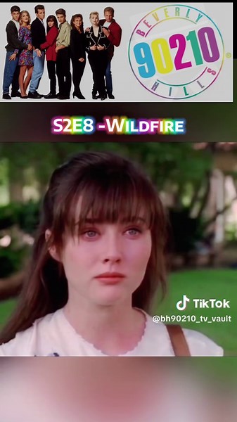 Dylan and Brenda's Reunion in Beverly Hills 90210