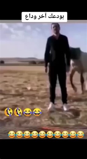 فيديوهات أنشأها English Sure (@englishsure) باستخدام original sound - English Sure