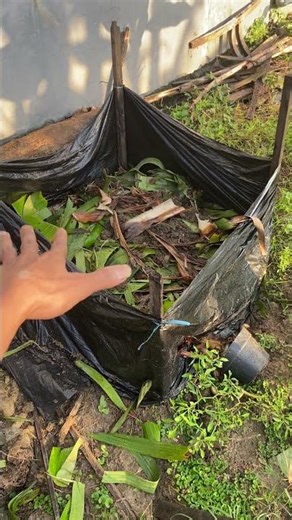 The process of making compost from organic waste