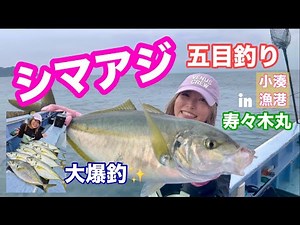 【シマアジ釣り】高級魚‼︎良型シマアジがまさかの大爆釣⁉︎in小湊寿々木丸