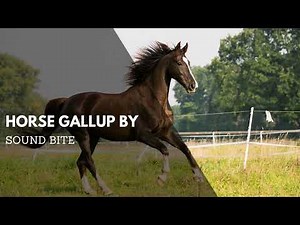Horse Galloping Sound Effect | Audio Clip | Clean Sounds Clips