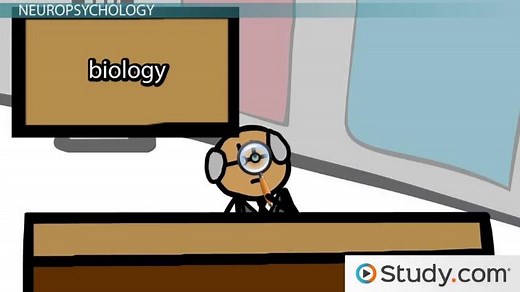 Biological Approach in Psychology | Definition & Examples