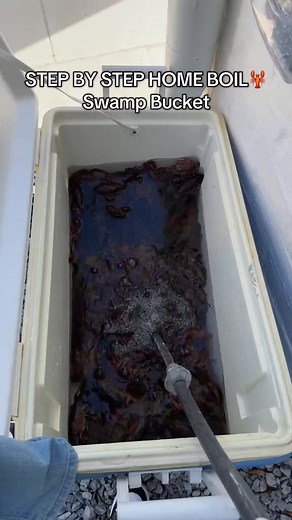 SWAMP BUCKET BOIL STEP BY STEP! Definitely need to tweak it to get it exactly how I like it!🦞🦞 #swampbucket #crawfishboil #crawfish #neworleans | Crawfish lover Louisiana