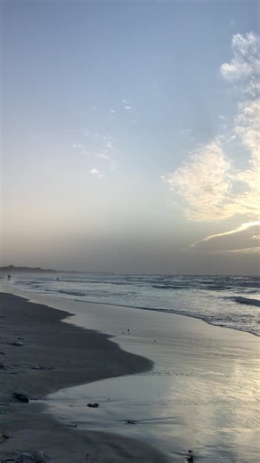 The True Nature of Friendship: Insights from Alexandria