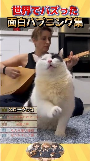 独特でかわいい動物たち…まとめ「世界でバズった面白ハプニング集３９」