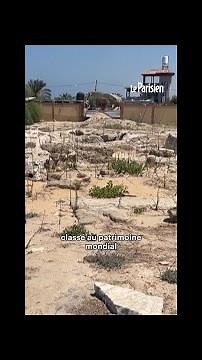 Des trésors archéologiques de Gaza sauvés des bombes in extremis