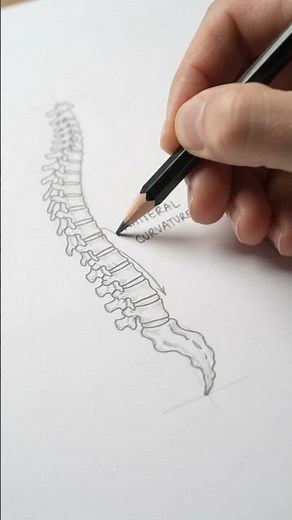 What Happens to the Spine in Scoliosis? 🦴 | Explained