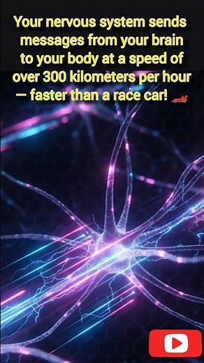 Science fact on Nervous system