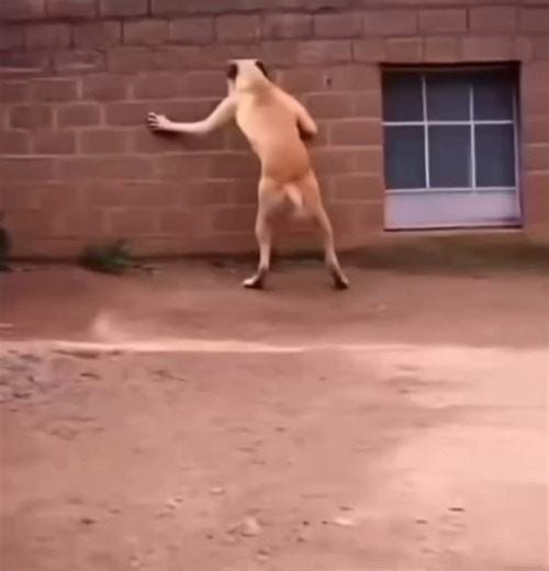 @UnkleAyo The last time i tried keeping a relationship towards marriage