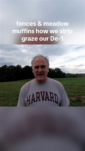 fences & meadow muffins how we strip graze our De-1