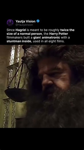 How They Made Hagrid Giant 🪄