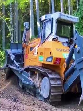 Dozer Clearing Overgrown