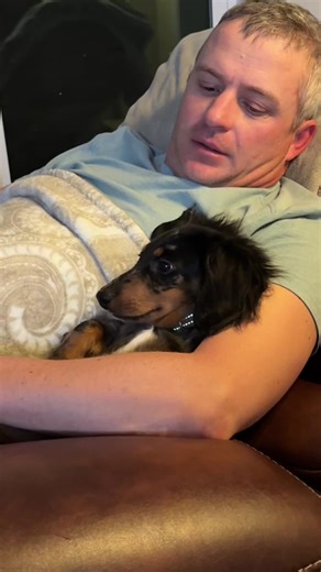 Understanding Dachshund Behavior and Training Tips