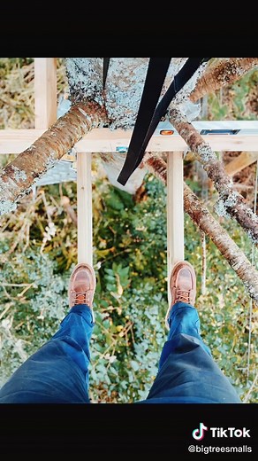 DIY Treehouse Building: Deck Part 1