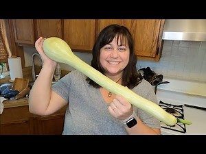 Biggest Zucchini Ever: Tromboncino Squash | Harvest, Pests, and Preparation