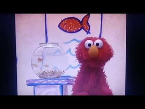 Elmo's World Dorothy's Families Question