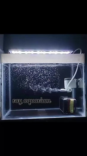 ray aquatic on TikTok