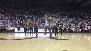 74K views · 2.2K reactions | The Alabama Dance Team and Big Al brought it down in Coleman Coliseum! #BuckleUp | University of Alabama Athletics | Facebook