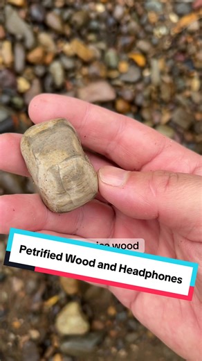 #audiobook #audiobooks #booktok #bookrecommendations #brandonsanderson #sanderson #rocktok #rockhounding #rockhound #tress #bookrecs #rockhoundingadventures #petrifiedwood #headphones #contraversial #agate #geode #crystals #crystaltok #crystalsoftiktok #oregon #or #pnw #rain #hike #geology #rocksandminerals #geologyrocks #libby #acx #audible #audibletok