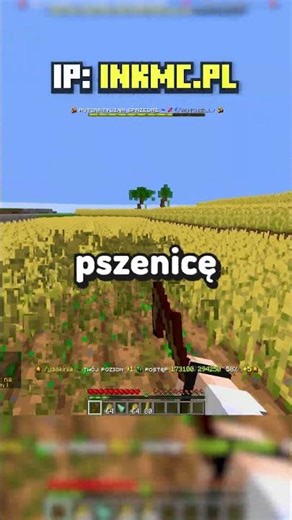 INKMC.PL ✅ Wersja: 1.16.5-1.21.11 🔥