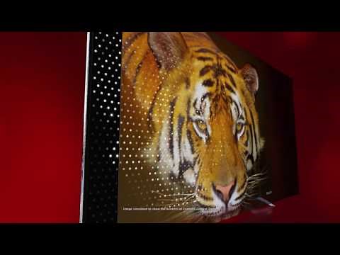 TCL Roku TV P-Series Featuring 4K HDR with Dolby Vision