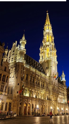 大胆アハ体験動画 asology on Instagram: "今回は簡単と思ったあなた！実はオマケにもう一ヶ所あります。 【アハ体験動画】ベルギー「グラン・プラス」大胆変化でスッキリ倍増（難易度：★★） ゆっくりと画像が変化する動画。どこが変わっているか気づくとスッキリします。脳の活性化、リフレッシュ、ストレス解消になります。 家族でチャレンジしてみよう！ 大胆に変化するので、よりスッキリします。 難易度：★★ 正解はこちら https://asology.org/entertainment/42636/ #アハ体験 #asmr #ベルギー #ブリュッセル #グラン・プラス #広場 #世界遺産 [Aha experience video] Belgium “Grand Place” doubles the refreshing with bold changes (Difficulty level: ★★) Easy this time! You thought so! Actually, there are two answers this time. A video where