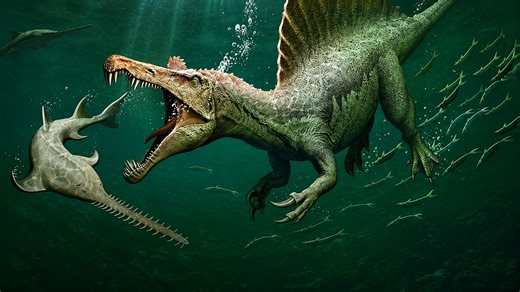 You're face to face with the largest carnivorous dinosaur ever discovered... then there's no escape