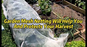 Watch Ultra-Fine Garden Mesh Netting Greenhouse Row Cover Mesh Net on Amazon Live