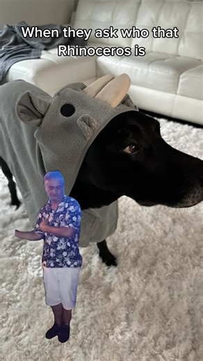 THAT’S MY DAWG . . #Danny #dog #dogs #Meme #MemeCut