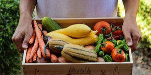 The future of food security