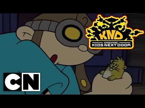 Codename: Kids Next Door - Operation: K.I.S.S.