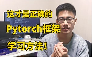 迪哥手把手教你如何从零入门Pytorch框架，在项目实战中跑通Pytorch，别一上来就是学习各种函数，这才是学Pytorch的正确方法！【深度学习】