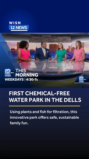 379K views · 5.2K reactions | In Wisconsin Dells' newest water park, visitors splash and play in crystal-clear water maintained by an intricate ecosystem of plants, fish and beneficial bacteria – not a drop of chlorine in sight. https://tinyurl.com/228ve6k8 | WISN 12 NEWS | Facebook