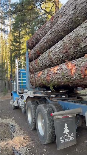 Willamette Valley Oregon log trucking