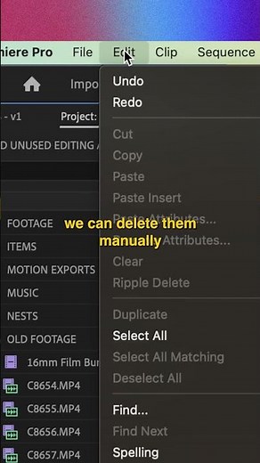 Remove Unused Assets With ONE CLICK in Premiere Pro