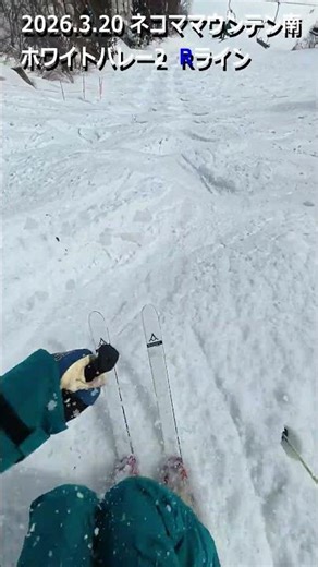 2026.3.20 ネコママウンテン南 ホワイトバレー2 R（#スキー #コブ #モーグル #新雪 #パウダー #会津 #ネコマ #アルツ #ネコママウンテン #shorts）