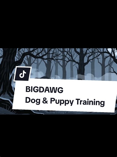 Tame your pup's wild side with BigDawg Training app – fun lessons for obedience & tricks! Download on Play Store NOW. Link in bio! What's your dog's wolf trait? #evolution #PuppyTraining #DogFacts #PetTok