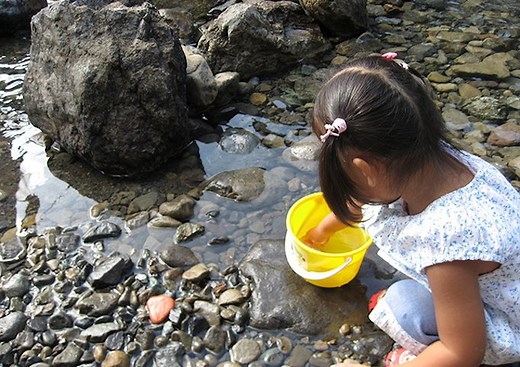 【2025年版】奈良県吉野川で川遊びをしよう！川遊びの場所・穴場ガイド！バーベキューやキャンプは？