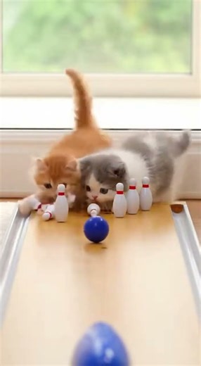 Cuttest Kittens Discover Bowling 😻🎳! 🐈 vs 🐈‍⬛ #shorts #bowling