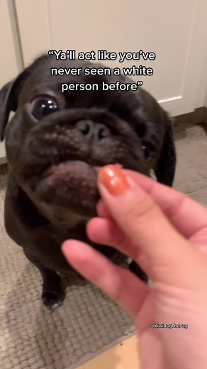 Goes to a 5-star restaurant and saves part of a $50 steak for their dog. #BillboardNXT #FlauntItChallenge #HowIBathAndBodyWorks