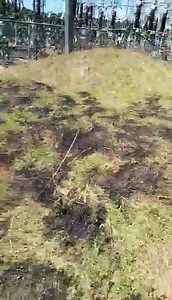 EMERGENCY POWER SERVICE INTERRUPTION February 19, 2024, Monday Timpas, Panitan, Capiz Reason: Loose Connection of Ground Wire resulting to grass fire which affected Transformer 1 and 2 resulting to loss of power to the affected areas. AREAS AFFECTED: -WHOLE Panitan, Pontevedra, Maayon, President Roxas, Pilar, Panay, Portion of Sigma, Portion of Ivisan and Barangays of Liong, Bago, Loctugan, Adlawan, and Olotayan, Roxas City. Our Maintenance are conducting line corrections and our engineers are c