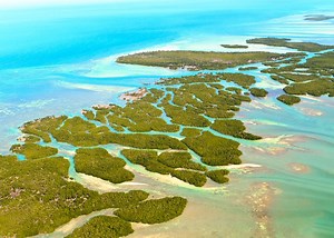 Explore the Florida Keys: where to stay, what to eat & the top things to do | loveexploring.com