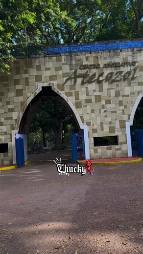 Exploring the Passion for Buses and Their Culture