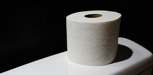 Curious Kids: Where does my poo go when I flush the toilet? Does it go into the ocean?