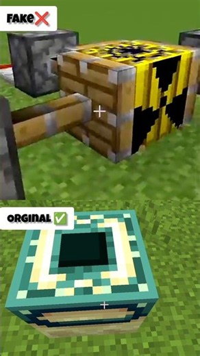 Minecraft Fake vs Original #minecraft #gaming
