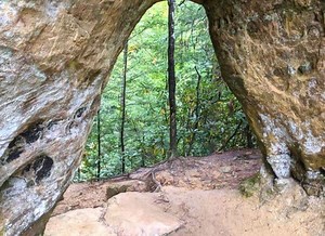 Visiting Dog-friendly Red River Gorge in Kentucky | Pennies, Places, and Paws