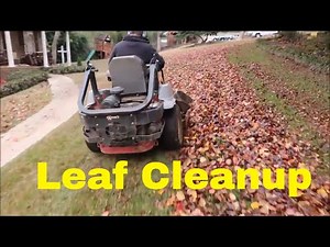Leaf Clean Up Pricing, Tips, and Equipment